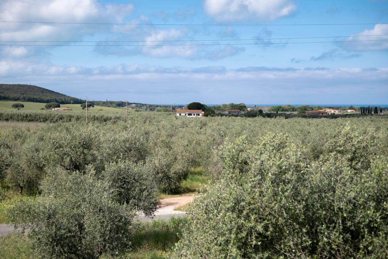 Podere Vignanova Rooms & Spa Castagneto Carducci Eksteriør bilde